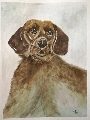Buffi , akwarela. format 24x32 cm