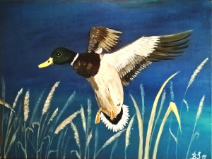 Kaczka. akryl 40x30