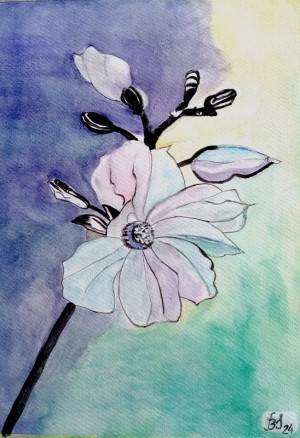 Kwiat jabłoni, akwarela. format 24x32 cm