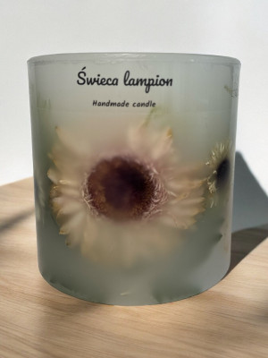 Lampion botaniczny -pastelowa gerbera
