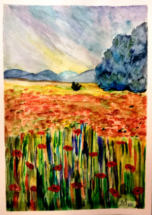 Makowa łąka , akwarela. format a4/21x29,7cm