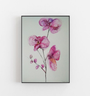 Orchidea