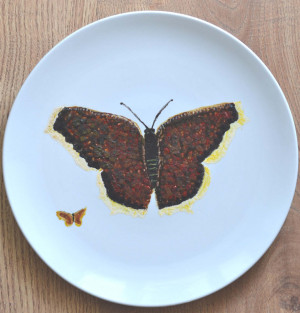 Talerz motyl