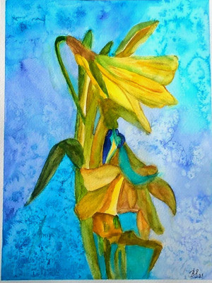 żonkile, akwarela.format 24x32 cm.