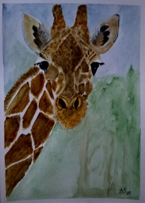 żyrafa, akwarela. format 18x24 cm
