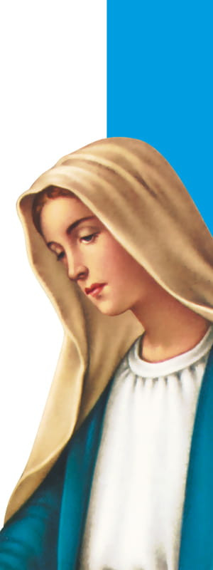 Baner religijny Matka Boża Niepokalana 75x200 cm