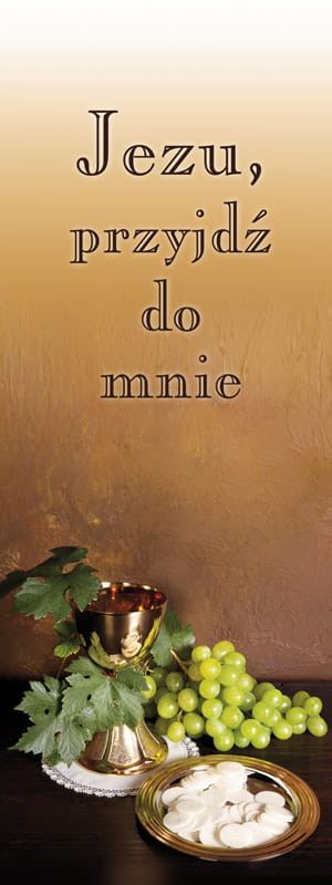 Baner na I Komunię Świętą "Jezu, przyjdź do mnie" 75x200 cm