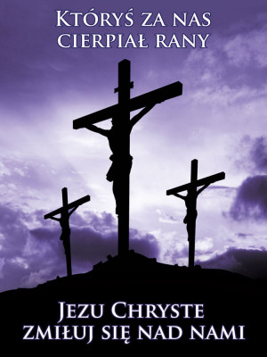 Baner na Wielki Post "Któryś za nas cierpiał rany" 75x100cm