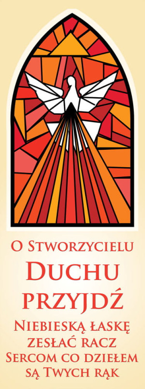 Baner na bierzmowanie "Duchu Przyjdź" 75x200 cm