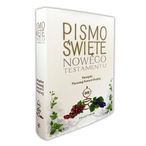 Pismo Święte Nowego Testamentu z ilustracjami - Pamiątka I Komunii Świętej