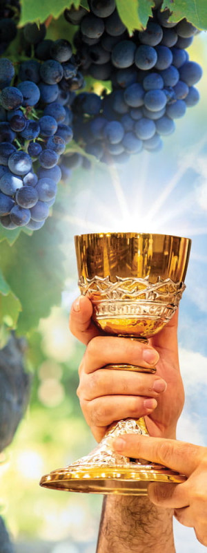 Baner religijny na Boże Ciało, symbole eucharystyczne - 75x200 cm