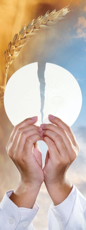 Baner religijny na Boże Ciało, symbole eucharystyczne - 75x200 cm