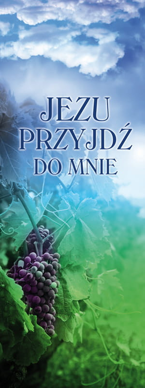 Baner na I Komunię Świętą "Jezu przyjdź do mnie" 50x130 cm