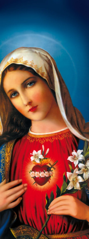 Baner religijny Najświętsze Serce Maryi 75x200 cm