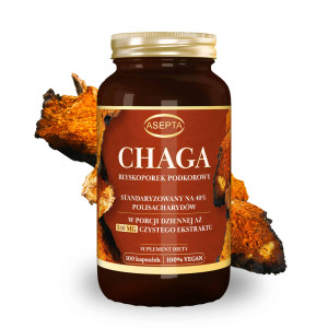 CHAGA 540 MG (100 KAPS)