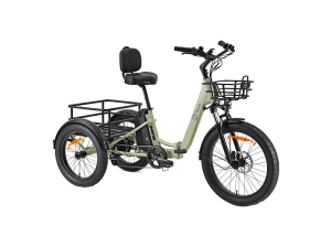 Bicicleta urbana - Youin Dover, 250W, 25 km/h, Autonomía 100 km, Plegable, 3 Ruedas, Portabultos de Gran Capacidad, Verde