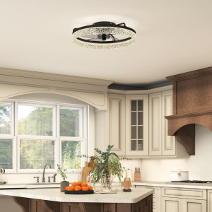 Ivy Bronx Ceiling Fan With Light Black 50cm