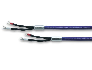 Oyaide OR-800 Advance