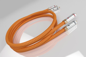Ricable Dedalus Signal - RCA