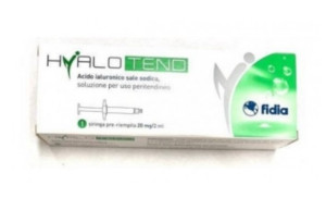Fidia Hyalotend 1 Siringa 20Mg/2 ml