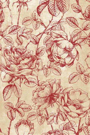Dywan Agnella Isfahan Rhode Bordo