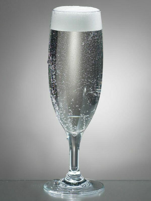 Champagneglass - Polykarbonat
