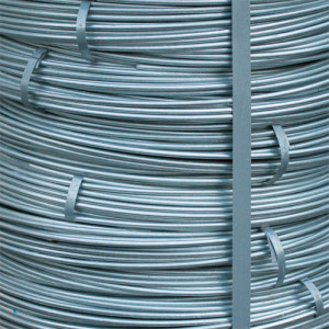 Edelstahlblitzschutz/Erdungsdraht: Edelstahlblitzschutzdraht 10 mm
