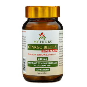 GINKGO BILOBA 240 MG SUPER MOCNA STANDARYZOWANA 120 KAPSUŁEK