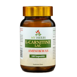 L-CARNITINE LAC ACETYYLO - L KARNITYNA 100 kaps. AMINOKWAS