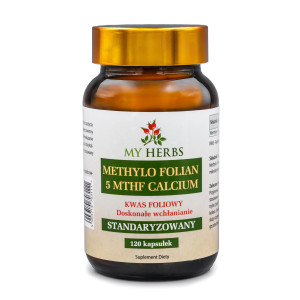 METHYLO FOLIAN 5 MTH CALCIUM KWAS FOLIOWY STANDARYZOWANY 120 KAPS