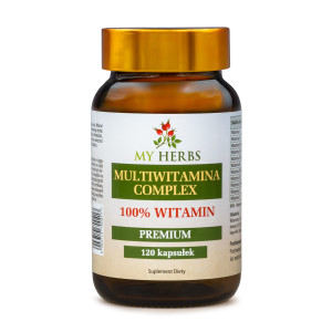 MULTIWITAMINA COMPLEX 100% WITAMIN 120 KAPSUŁEK