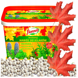 Florovit - jesienny 4 kg nawóz do tui iglaków żywotników
