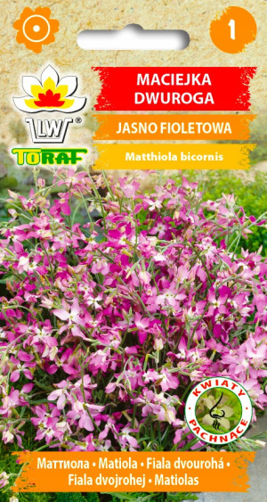 Toraf - nasiona maciejka fioletowa 3g