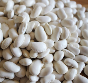 Biopon - nasiona fasola zwykła karłowa aura 35g