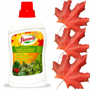 Florovit - jesienny 1 l nawóz do roślin zimozielonych bukszpan różanecznik trzmielina