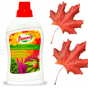 Florovit - jesienny 1 l nawóz w płynie uniwersalny