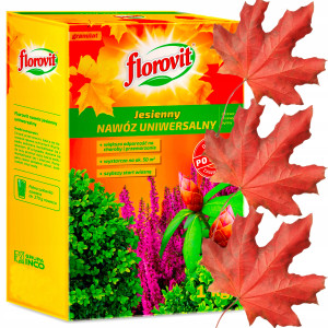 Florovit - jesienny 1 kg nawóz uniwersalny do roślin