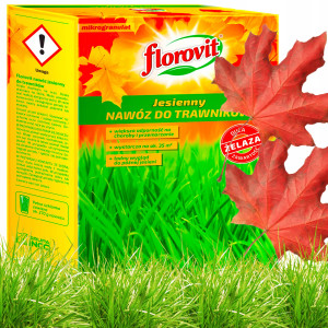 Florovit - nawóz jesienny do trawnika + żelazo 1 kg