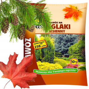Ogród start - ampol jesienny nawóz do tui iglaków cisów żywotników jodeł cyprysów 10 kg