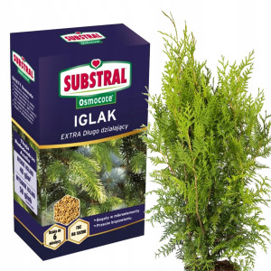 Substral - osmocote nawóz do iglaków, tui 2w1 1,25kg