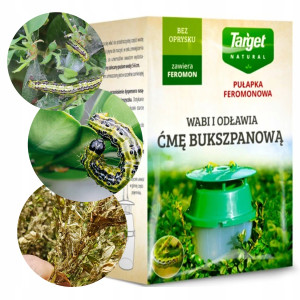 Target - pułapka na ćmę bukszpanową