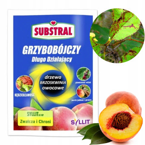 Substral - syllit 65wp środek grzybobójczy do drzew owocowych 10g