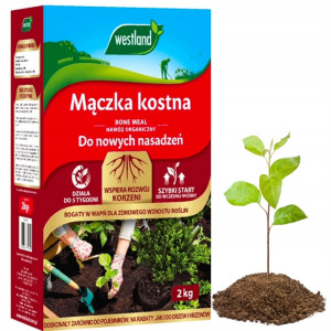 Westland - mączka kostna nawóz do roślin zielonych i nowych nasadzeń - 2kg