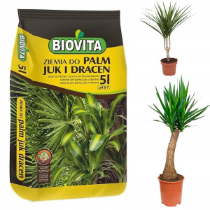 Biovita - ziemia 5l podłoże do roślin zielonych juk palm dracen + nawóz