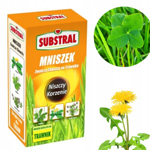 Substral - mniszek zwalcza chwasty na trawniku, niszczy korzenie 500ml