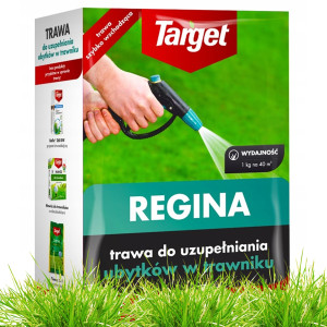 Target - nasiona traw do ubytków w trawniku regina 1kg