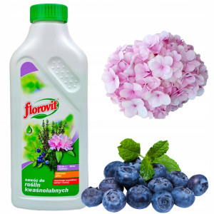 Florovit - nawóz w płynie do roślin kwaśnolubnych, borówek, azali, wrzosów 1,1kg