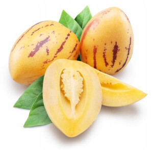 Toraf - nasiona psianka melonowa pepino (wieloletnie o ciekawym smaku) - 10mg