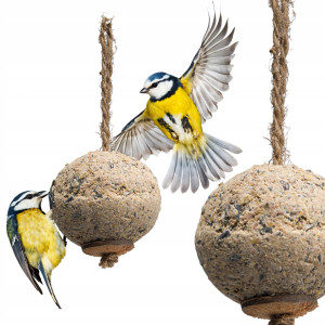 Happy birds - kula tłuszczowa na sznurku - 500g