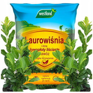 Westland nawóz do laurowiśni i innych żywopłotów liściastych krzewienie 5kg